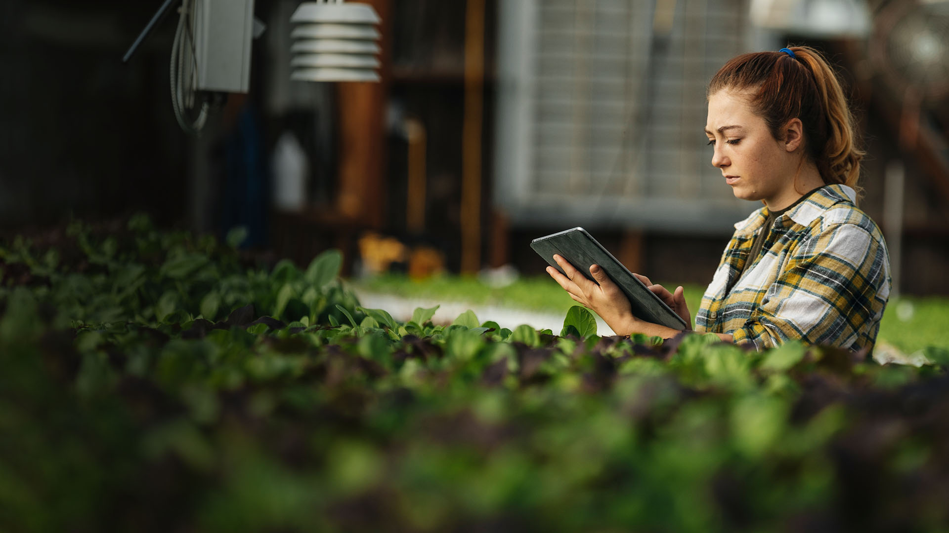 card icon